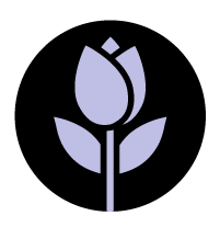 out/pictures/discount_banner/019cae55-622f-763a-8f9b-af3c155931c8.png Vorschaubild