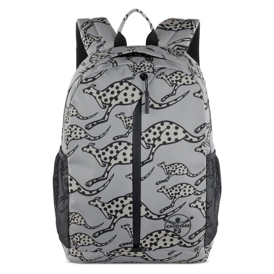 Chiemsee Jump N Fly Daypack 43 cm Laptopfach