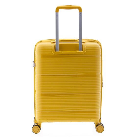 Gladiator 0800 4 Rollen Trolley 55 cm mit Dehnfalte