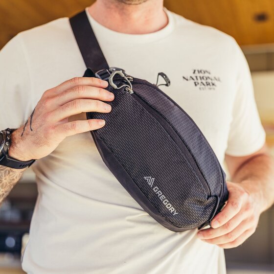 Gregory Nano Gürteltasche 33 cm