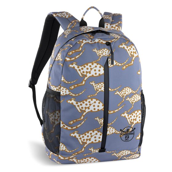 Chiemsee Jump N Fly Daypack 43 cm Laptopfach