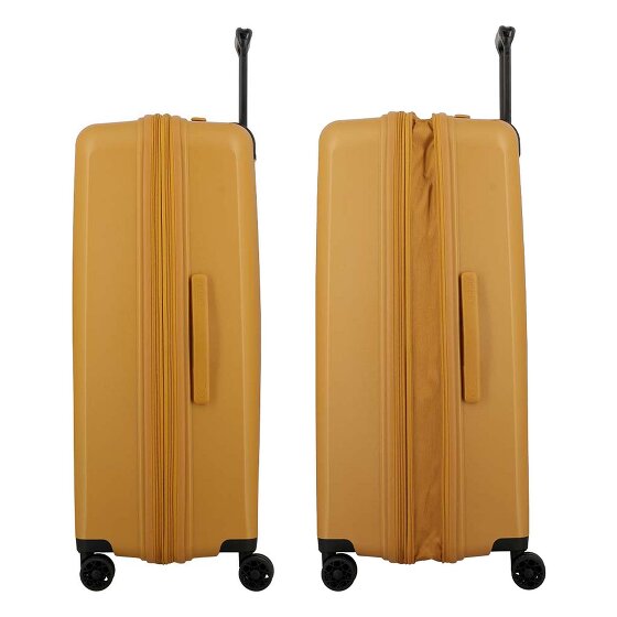 Jump Enais 4 Rollen Trolley 75 cm mit Dehnfalte
