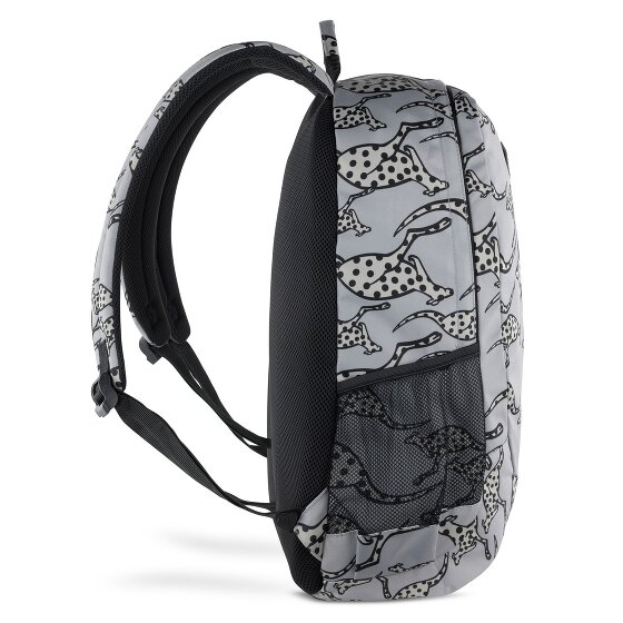 Chiemsee Jump N Fly Daypack 46 cm Laptopfach