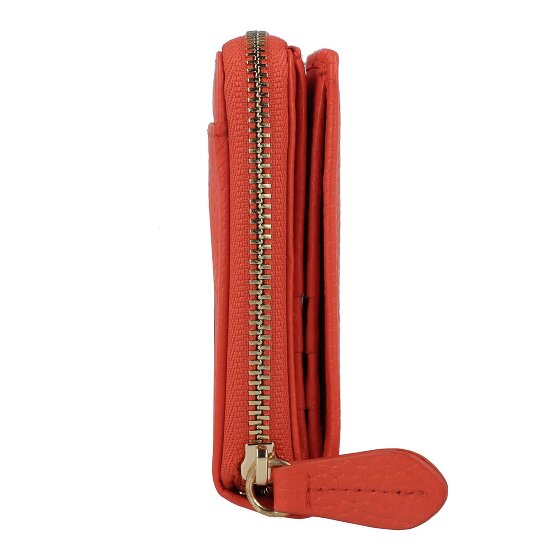 Braun Büffel Asti Geldbörse RFID Leder 10 cm