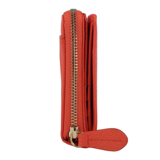 Braun Büffel Asti Geldbörse RFID Leder 10 cm