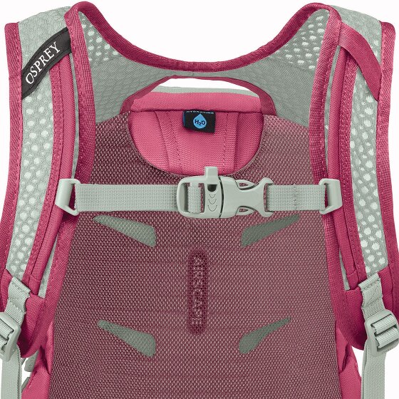 Osprey Daylite Wanderrucksack 40.5 cm