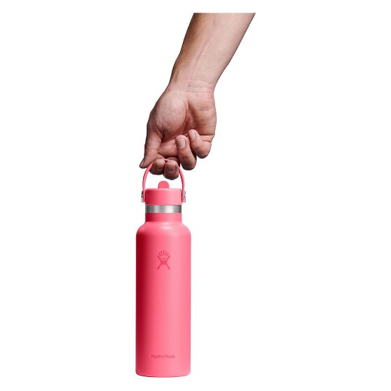 Hydro Flask Hydration Standard Flex Straw Cap Trinkflasche 620 ml