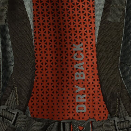 Salewa Alp Trainer 35L Rucksack 65 cm