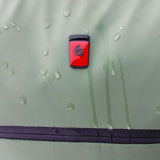 Gladiator 3900 2 Rollen Kabinentrolley 55 cm Laptopfach