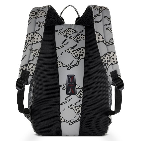 Chiemsee Jump N Fly Daypack 43 cm Laptopfach