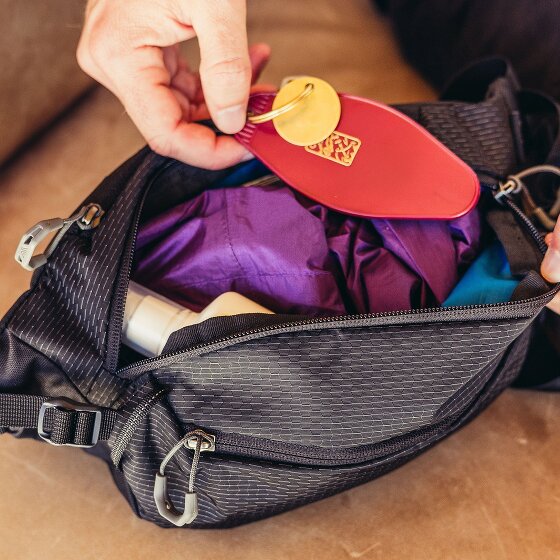 Gregory Nano Gürteltasche 33 cm