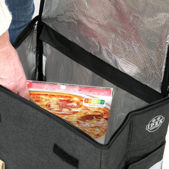 Andersen Shopper Scala Shopper Plus Ipek Ma Einkaufstrolley 48 cm