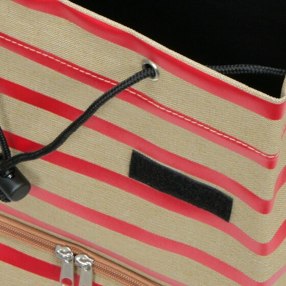 Andersen Shopper Unus Shopper Fun Eske Einkaufstrolley 59 cm