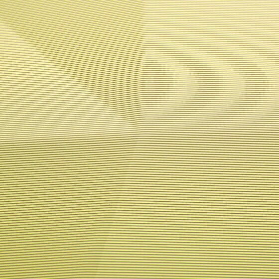 Delsey Paris Karat 2.0 4 Rollen Trolley 66 cm