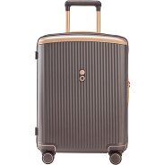 Echolac Dynasty VLX 4 Rollen Trolley 55 cm Produktbild