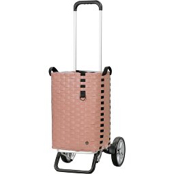 Andersen Shopper Alu Star Shopper Silja Einkaufstrolley 65 cm  Variante 3