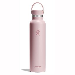 Hydro Flask Hydration Trinkflasche 710 ml  Variante 3