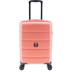 Gladiator 2700 4 Rollen Trolley 55 cm  Variante 2