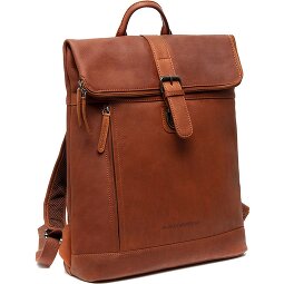 The Chesterfield Brand Larsson Daypack Leder 40 cm Laptopfach  Variante 2