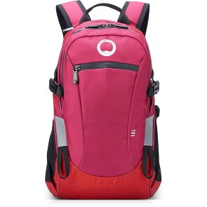 Delsey Paris Nomade S Rucksack 42 cm Laptopfach