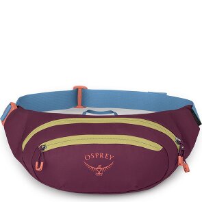 Osprey Daylite Waist Gürteltasche 45 cm