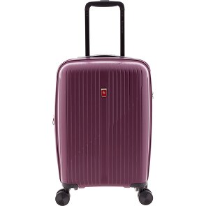 Gladiator 5000 4 Rollen Kabinentrolley 55 cm mit Dehnfalte