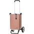  Alu Star Shopper Silja Einkaufstrolley 65 cm Variante terra pink