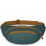  Daylite Waist Gürteltasche 45 cm Variante torrent blue