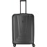  X-Ray 4-Rollen Trolley 77 cm Variante anthrazit