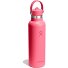  Hydration Standard Flex Straw Cap Trinkflasche 620 ml Variante popstar pink