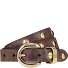  Nietengürtel Leder Variante dark brown | 100 cm