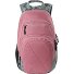  Stash 29 Schulrucksack 49 cm Variante woodrose