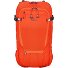  Alpspitze Wanderrucksack 58 cm Variante wild brier