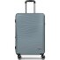  Dallas 3.0 4 Rollen Trolley M 65 cm mit Dehnfalte Variante grey
