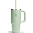  Tumblers Travel Trinkflasche 710 ml Variante aloe