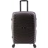  3400 4 Rollen Trolley M 67 cm mit Dehnfalte Variante grey