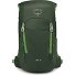  Jet 18 Wanderrucksack 46 cm Variante green canopy-limeline green