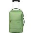  Flow 2 Rollen Kabinentrolley S 54 cm Variante pure jade green