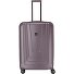 X-Ray 4-Rollen Trolley 77 cm Variante taupe
