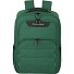  Skaii Daypack M 43 cm Laptopfach Variante green