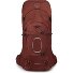  Aether 65 Trekkingrucksack S-M 80 cm Variante acorn red