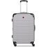  Amplar Evo 4 Rollen Trolley M 65 cm mit Dehnfalte Variante cloud