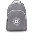  Center Curtis Daypack 43 cm Laptopfach Variante inviting grey c