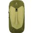  AC Lite 24 Wanderrucksack 56 cm Variante linden-cactus