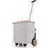  Carrycruiser Einkaufstrolley 47.5 cm Variante frame twist sky rose
