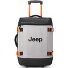  JS007C 2 Rollen Kabinentrolley 55 cm Variante grey