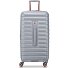  Shadow 5.0 4 Rollen Trolley 80 cm Variante platin
