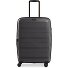  Straw + 4-Rollen Trolley 65 cm Variante dark grey
