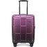  Crate EX Wildlife 4 Rollen Kabinentrolley 55 cm Variante ascendinggrape
