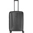  X-Ray 4-Rollen Trolley 72 cm Variante anthrazit